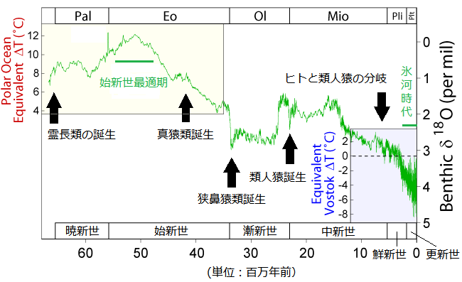 画像の表示