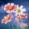 Thumbnail of post image 156