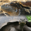 Thumbnail of post image 079