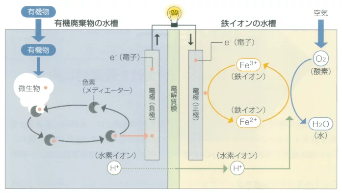 微生物燃料電池の画像の表示