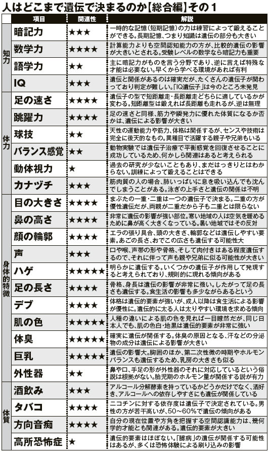 画像の表示