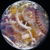 Thumbnail of post image 065