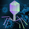 Thumbnail of post image 101